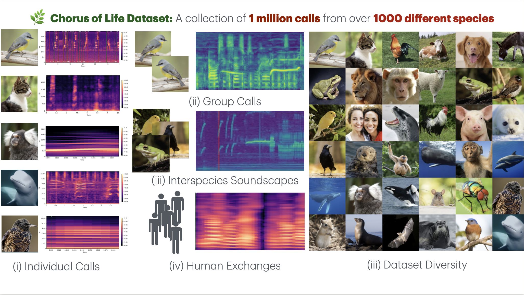Overview of the bioacoustics dataset